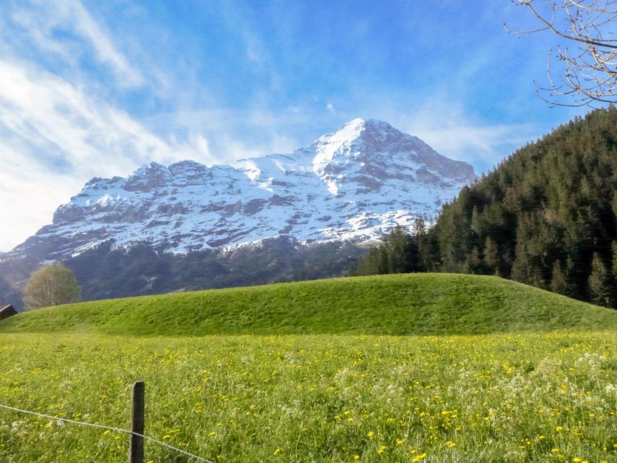 Apartment Chalet Marie Rosa-1 By Interhome Grindelwald Buitenkant foto
