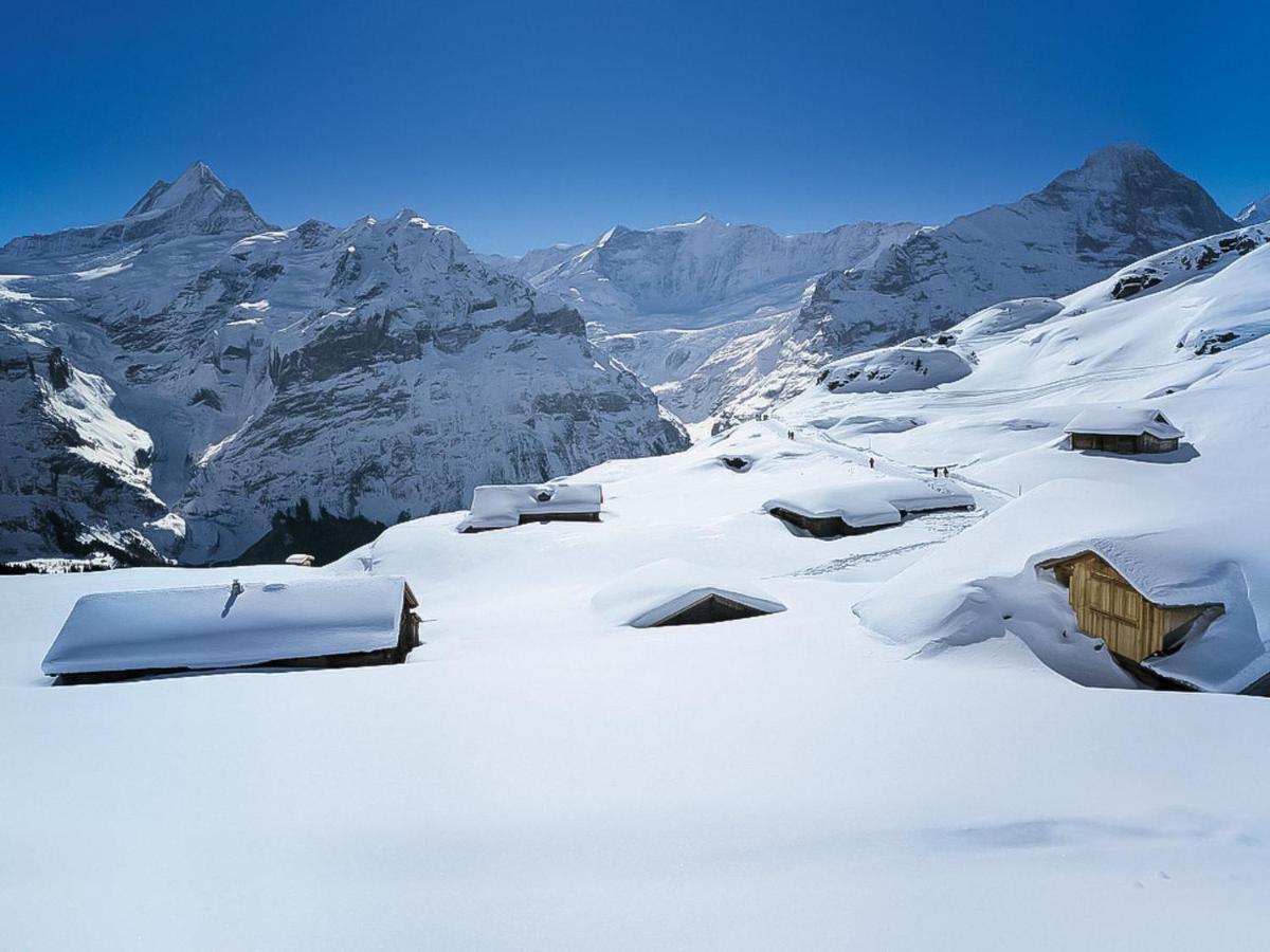 Apartment Chalet Marie Rosa-1 By Interhome Grindelwald Buitenkant foto